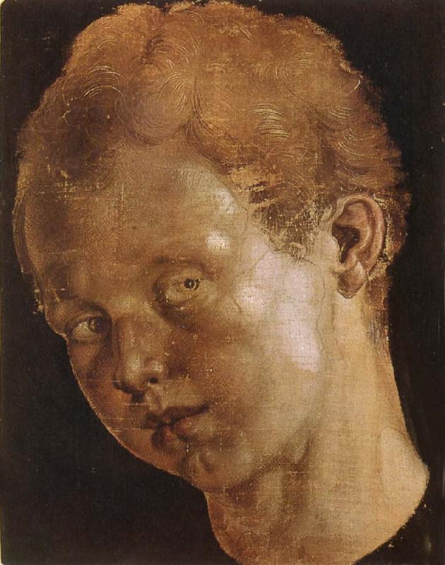 Albrecht Durer Head of a boy facing toward the left oil painting image